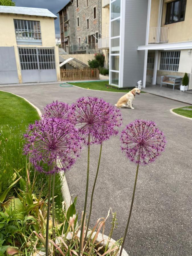 Chez Helene 3 Etoiles, Labellise Disabled Pmr,Pour 4 Personnes Chiens Bienvenus-Pet Friendly Daire Bourg-Madame Dış mekan fotoğraf