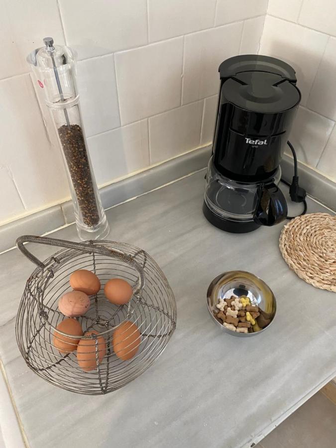 Chez Helene 3 Etoiles, Labellise Disabled Pmr,Pour 4 Personnes Chiens Bienvenus-Pet Friendly Daire Bourg-Madame Dış mekan fotoğraf